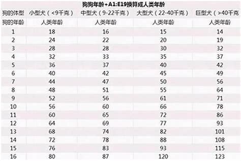 属狗的今年几岁|属狗的今年多大2024